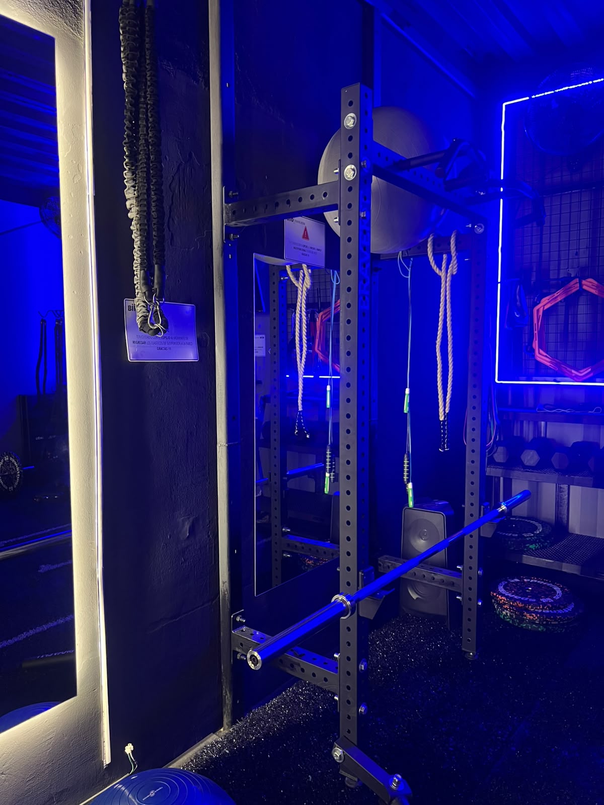 Rack con cuerdas de escalada, bandas de suspensión y barra